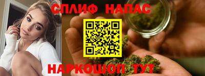 индика Северобайкальск