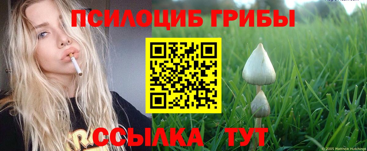 Псилоцибиновые грибы Magic Shrooms Ржев